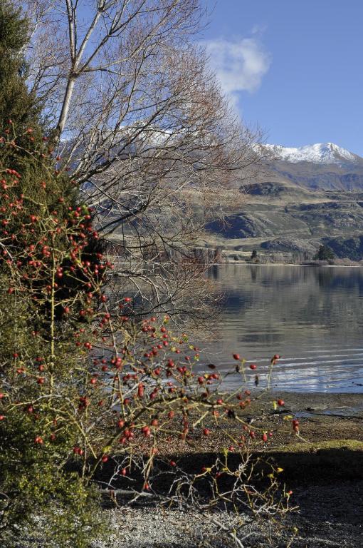 Lansdown Villa Apartments Wanaka Eksteriør bilde